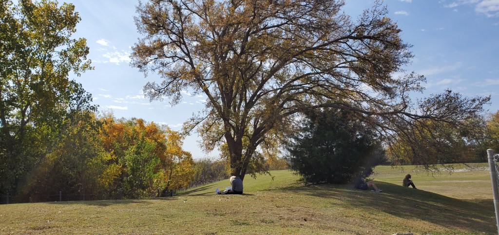 Photograph of students reading outside