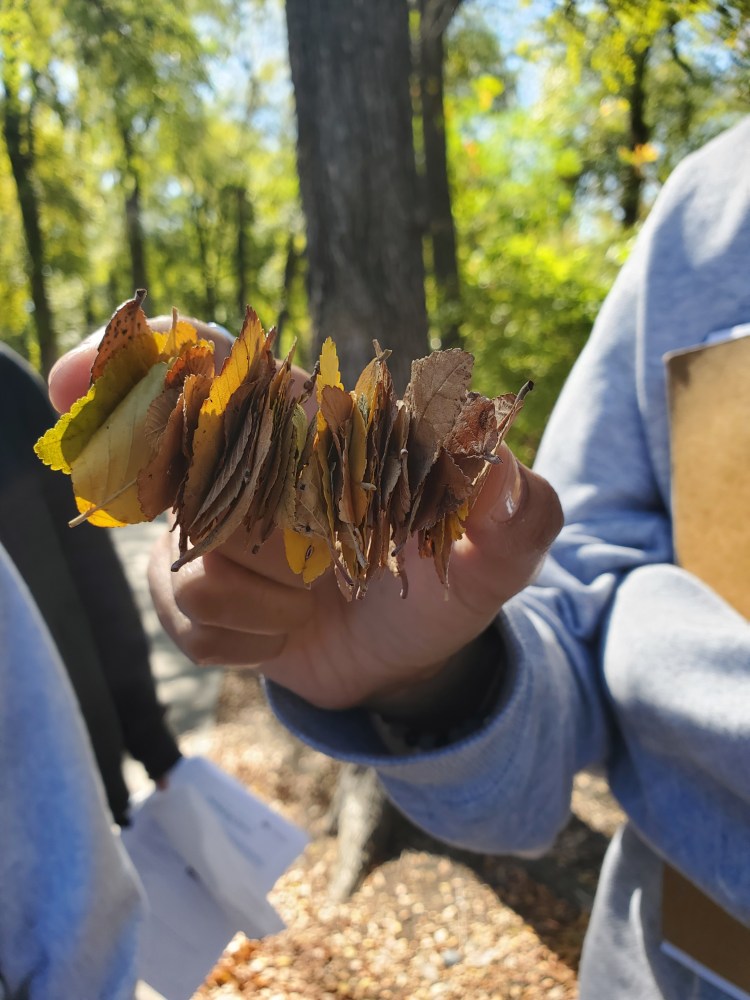 Student creation: skewered leaves