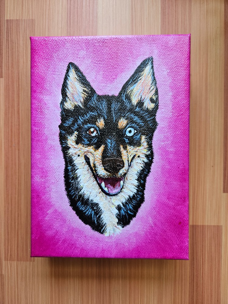 Pet portrait: Husky mix